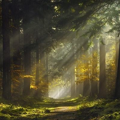 pg娱乐电子游戏官网下载手机版