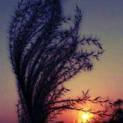 幸运彩票下载手机版截图