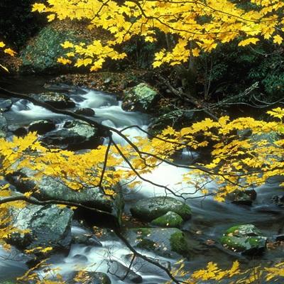 大众彩票入口welcome·官方网站